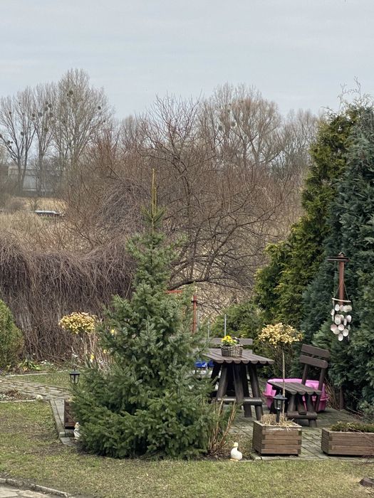 3 mieszkania -Chełmża centrum