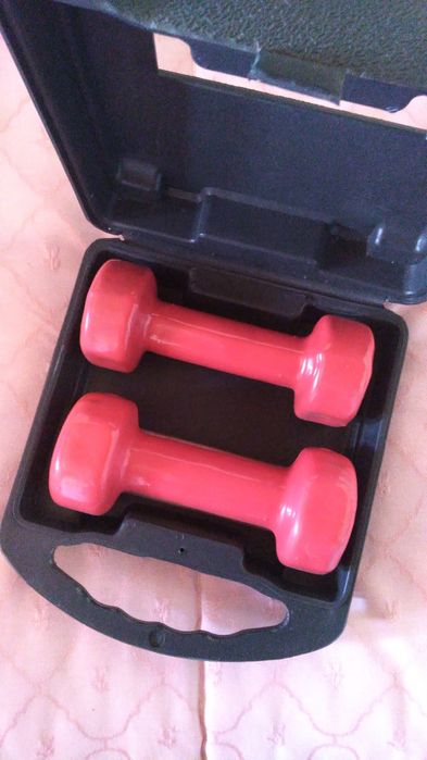 Caixa com 2 pesos de 1,5Kg