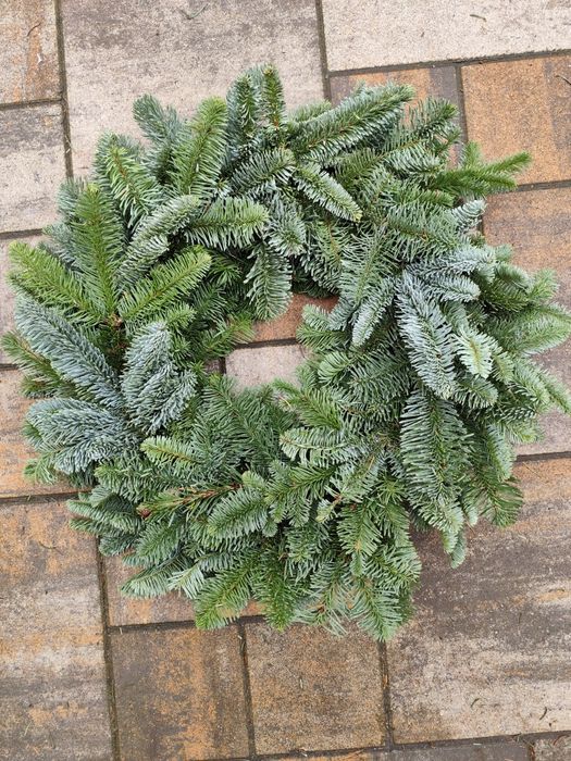 Wianek nobilis 50 cm