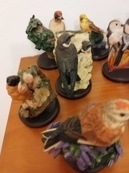 Pássaros -Bird Collection-Fabulosa coleção de 33 peças