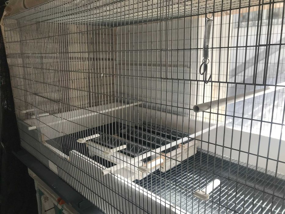 Voadeiras em bom estado zincadas, para os filhos de Canários