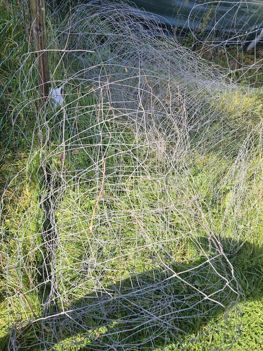 Siatka ogrodzeniowa na budowę 50m