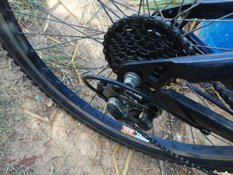 Bicicleta KX  Sport 100