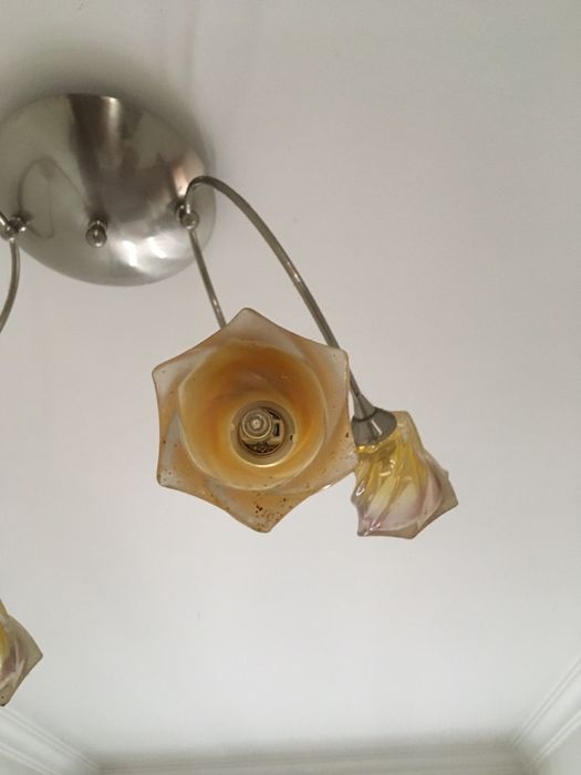 Candeeiros inox/vidro flor amarelo