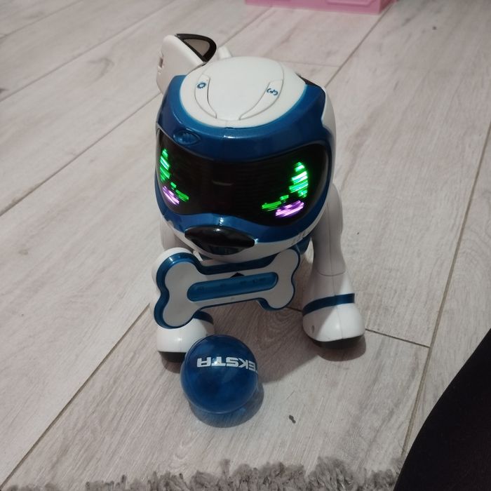 Robopies interaktywny, piłka, kość.