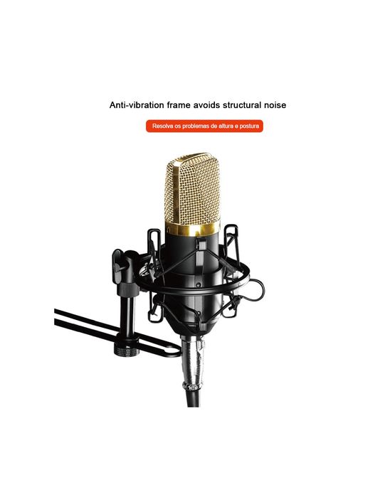 Microfone Profissional QA-T595