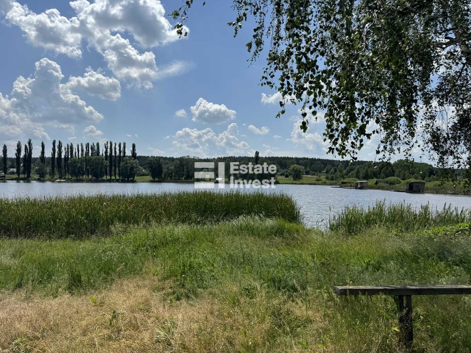 Продаються 2 будинки за ціною одного, с. Литвинівка, 35 км від Києва