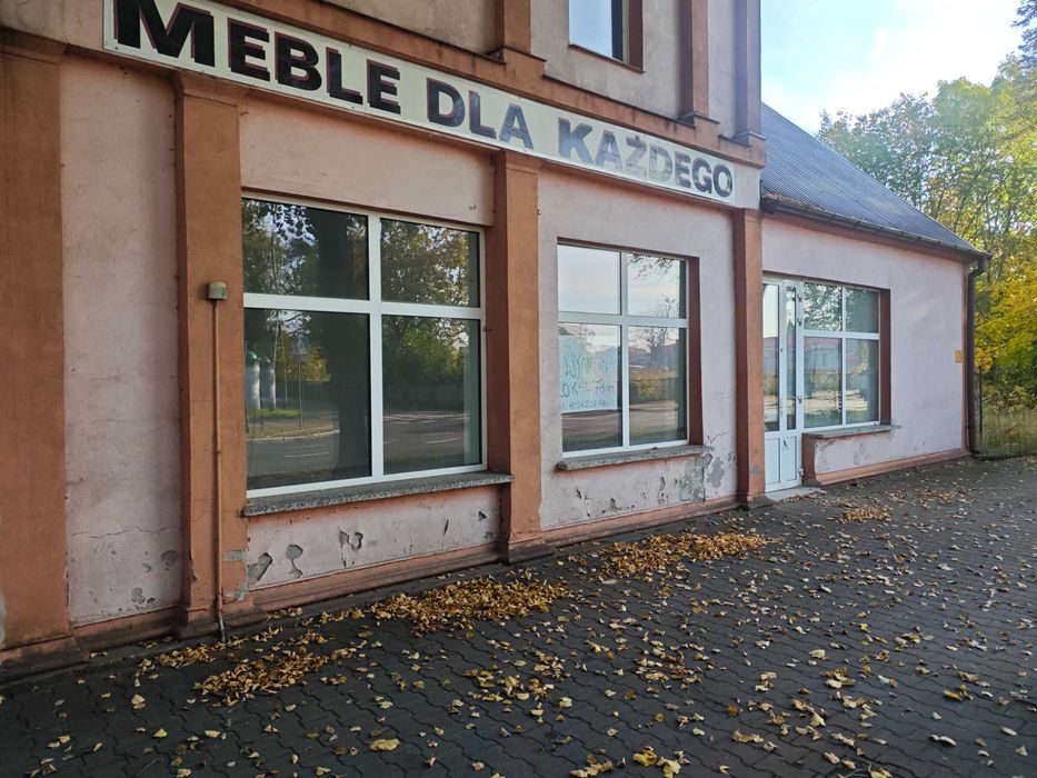 Lokal do wynajęcia