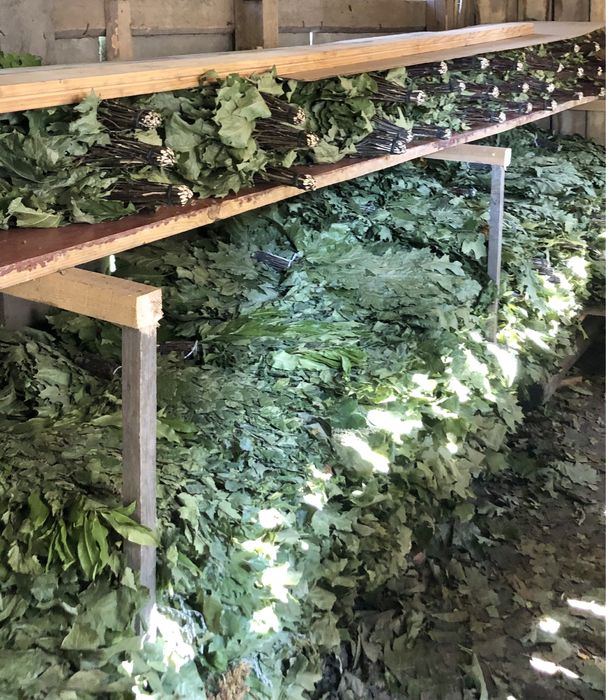 Банні віники: березові та дубові