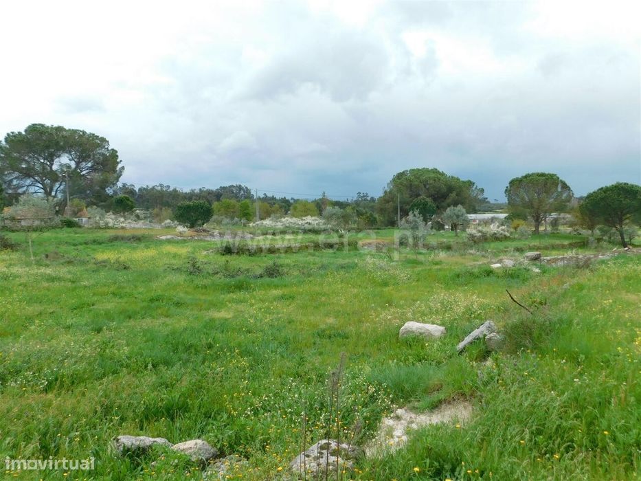 Terreno / Seia, Paranhos — Paranhos, Guarda