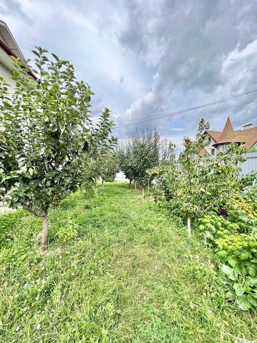 Коммерческая недвижимость по адресу ул. Виноградная (площадь 465 м²) - Atlanta.ua - фото 23