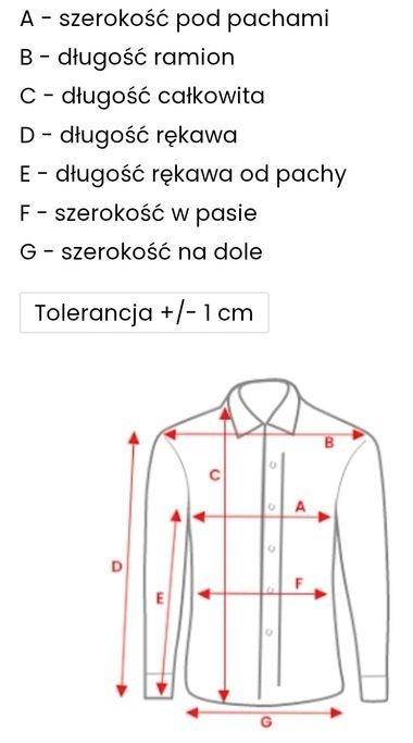 Koszula męska CARRY, rozmiar L, długi rękaw