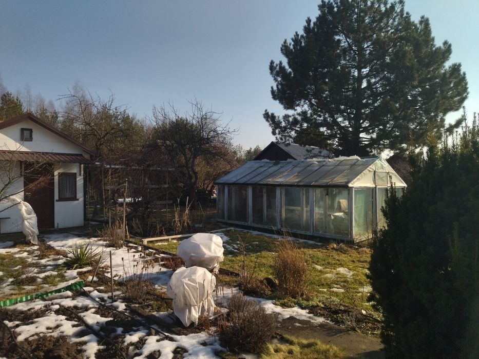 Działka ROD 42 Pułku Piechoty