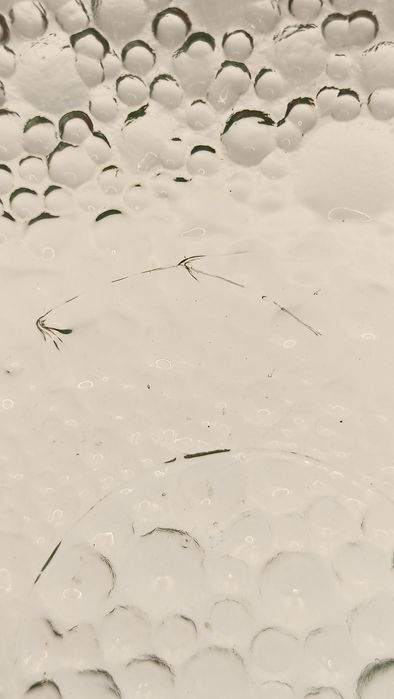 Szkło zielone misja owocarka salaterka krople rosy