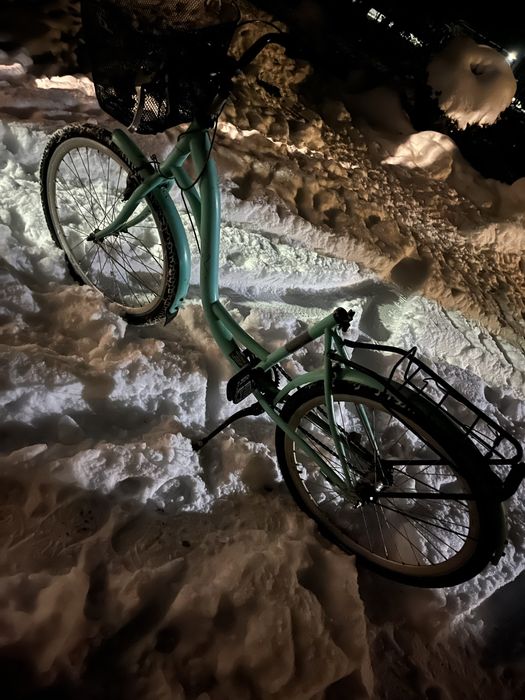 Rower damka miętowy