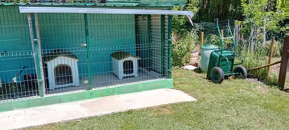 Canil para Cão férias de Verão