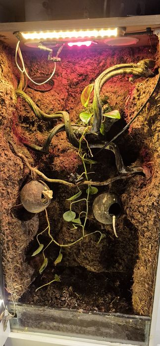 Sprzedam terrarium w szafce