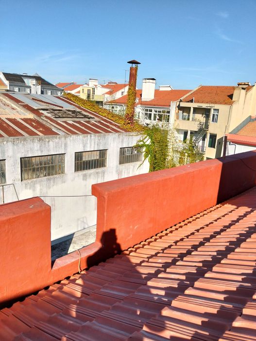 Alpinismo Industrial - Limpeza de telhados