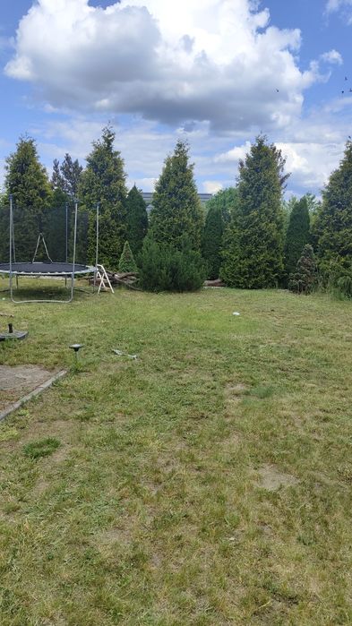 Działka rekreacyjna Pułanki Relaks - Widok 6