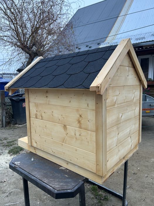 Buda dla średniego psa