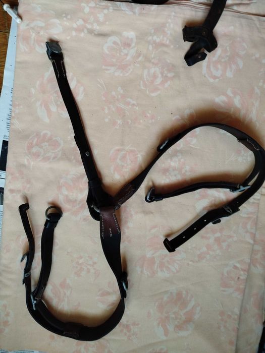 Regalia kolekcjonerskie