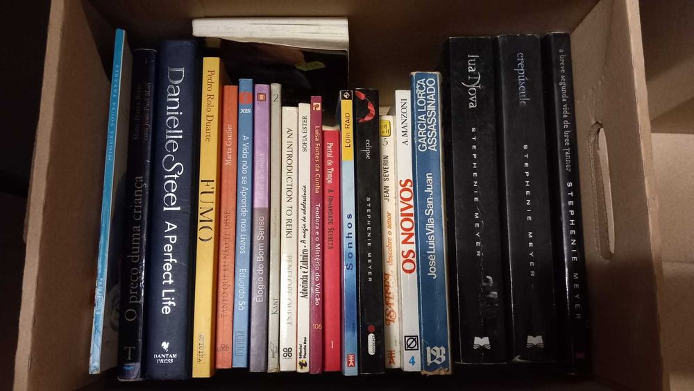 Lote 24 - LIVROS Diversos - Vendidos em Separado - Vários Preços