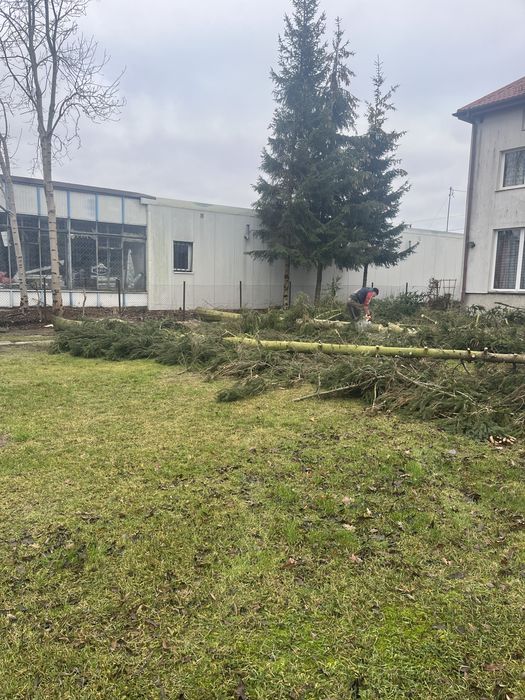 Wycinka drzew rebak łuparka frezarka