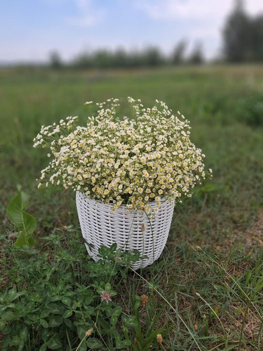 Продам кашпо з ротангу