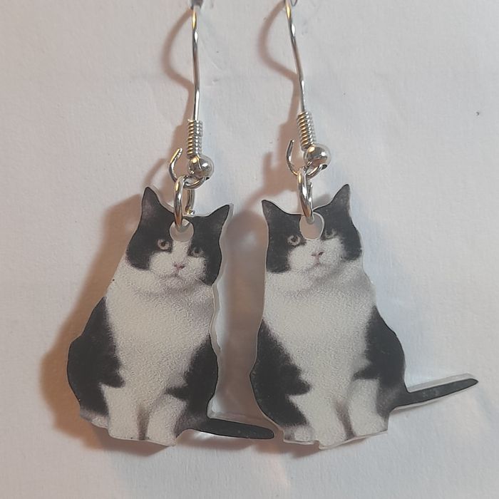 Brincos gatos muito fofos .