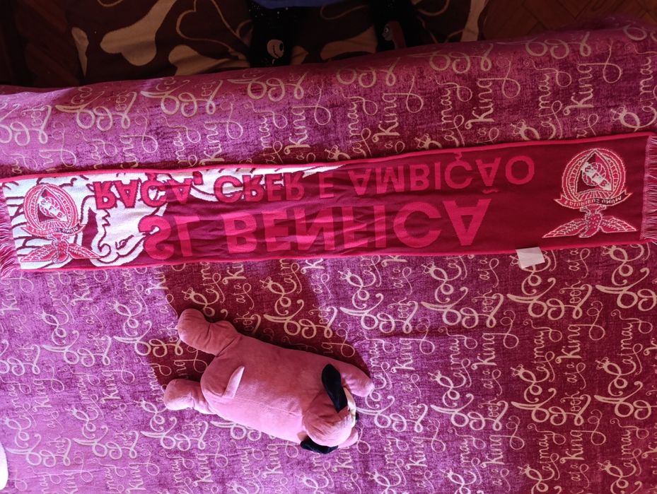 Benfica cachecol