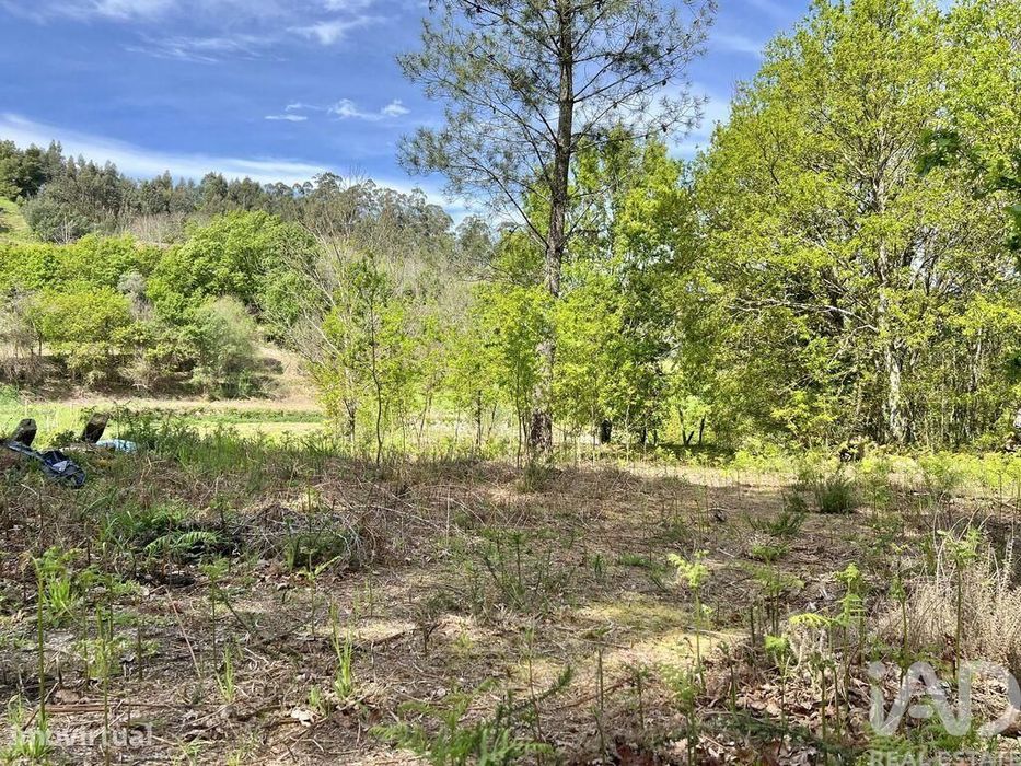 Terreno em Vouzela e Paços de Vilharigues de 26750,00 m2