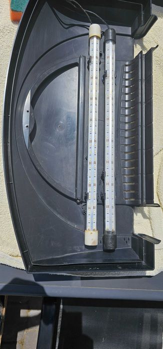 Rosline akwarium 60l