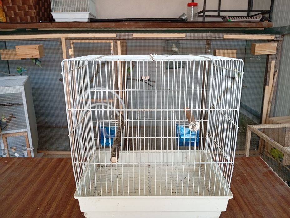 Gaiola para vendo
