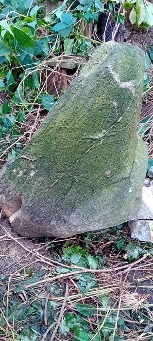 Głaz duży narzutowy  do ogrodu