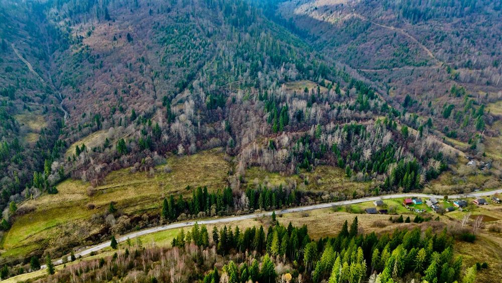 Земельна ділянка у с.Орявчик
