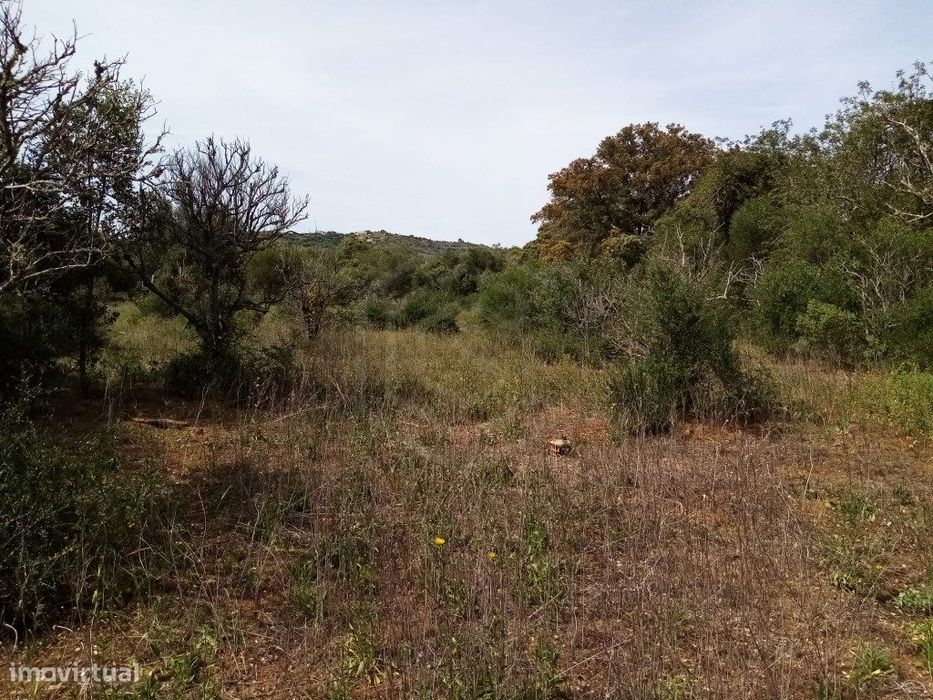 Terreno Rustico com 11 136m2, Loulé, Algarve