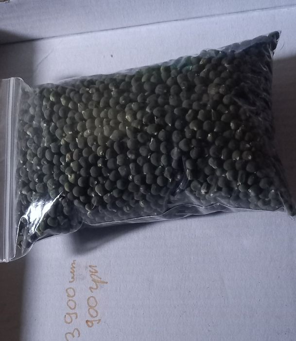 Насіння бамії              .