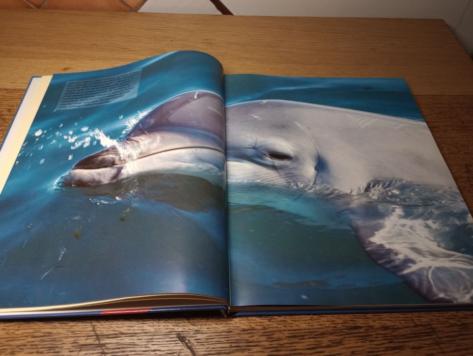 Morza i oceany. Encyklopedia dzikich zwierząt.