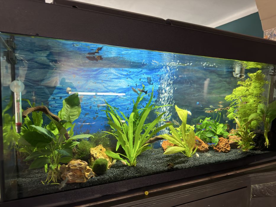 Aquario 120L