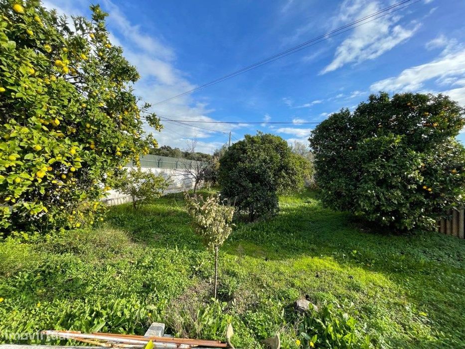 Propriedade de utilização mista, destinada a habitação e comércio, ...