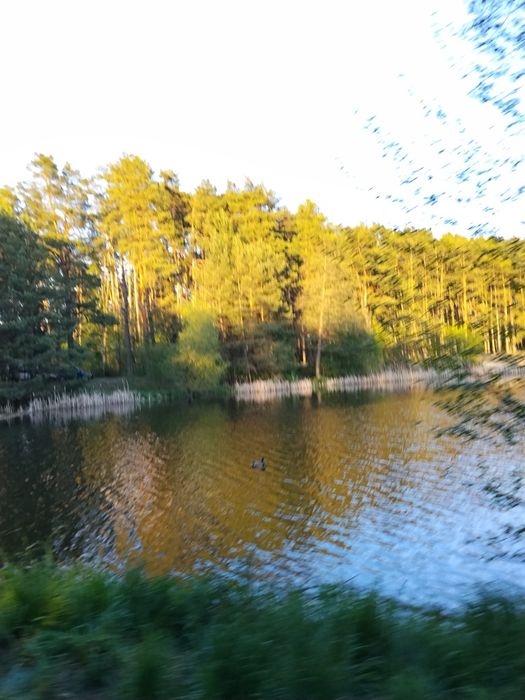 Чудова локація! Продаю Земельна ділянка Садове товариство "Трудівник"(Пряжів)