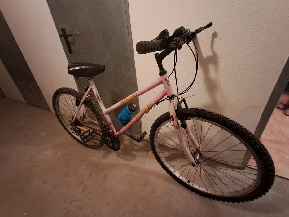Bicicleta esmaltina