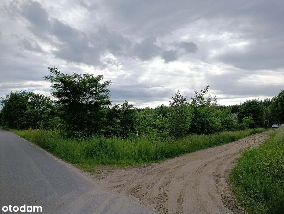 działka rekreacyjna Zbiornik Jeziorsko Skęczniew Osiedle 568 m² - Widok 5