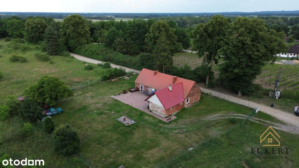 GÓRZYKOWO - dom przy samej winnicy