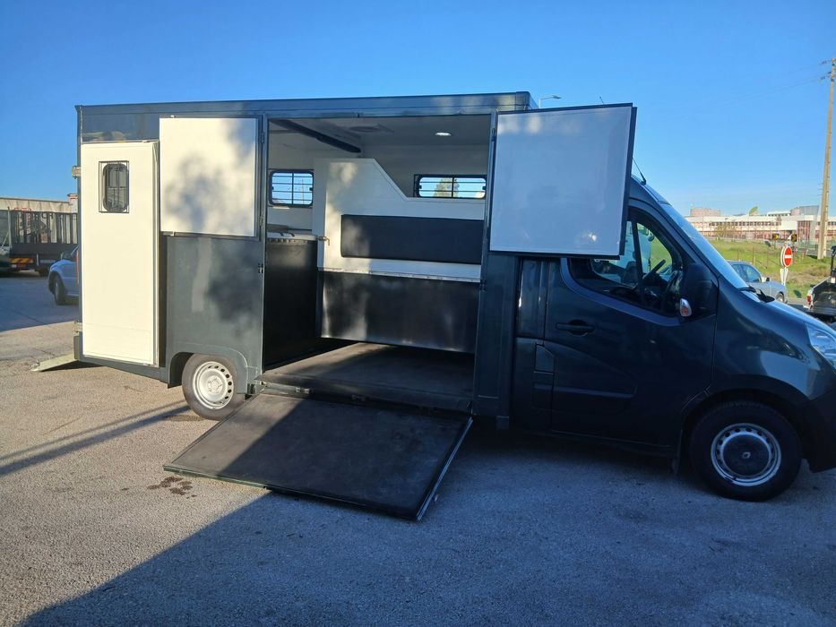 Renault Master transporte de cavalos