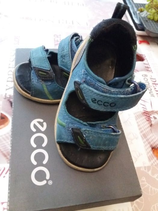 ecco 20