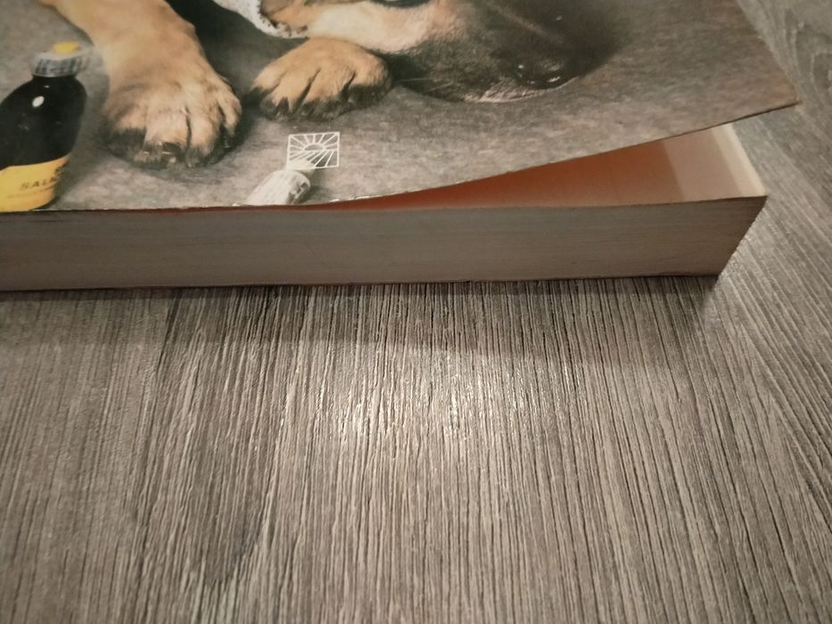 Peter Teichmann Gdy zachoruje pies