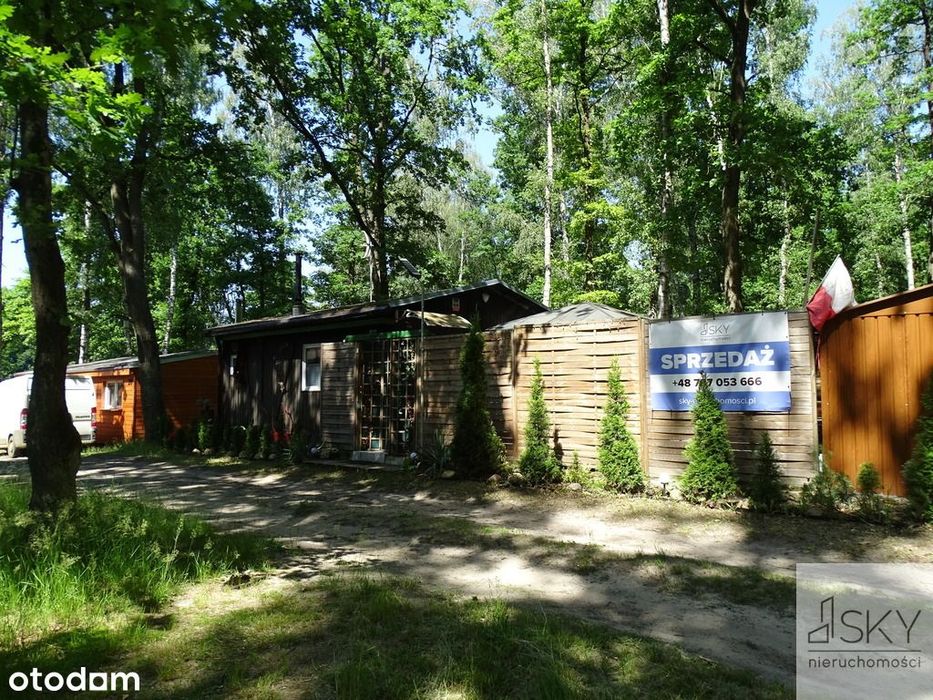 Całoroczny domek nad stawami | Wilczyn Leśny
