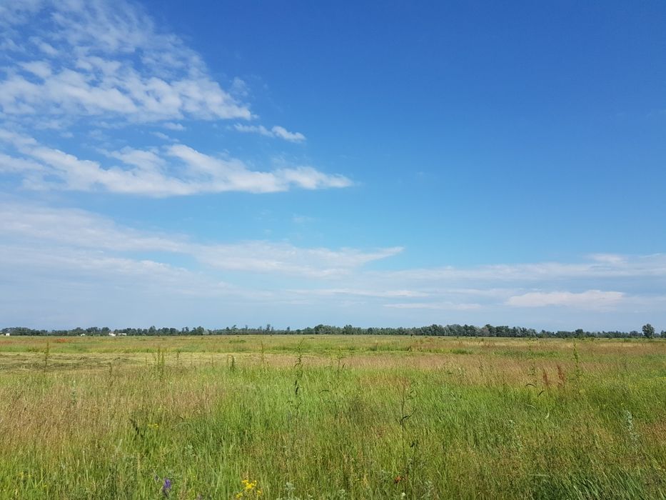 Оренда землі, 2,15га, с.Вища Дубечня,  під ягоди, овочі, теплиці, сад