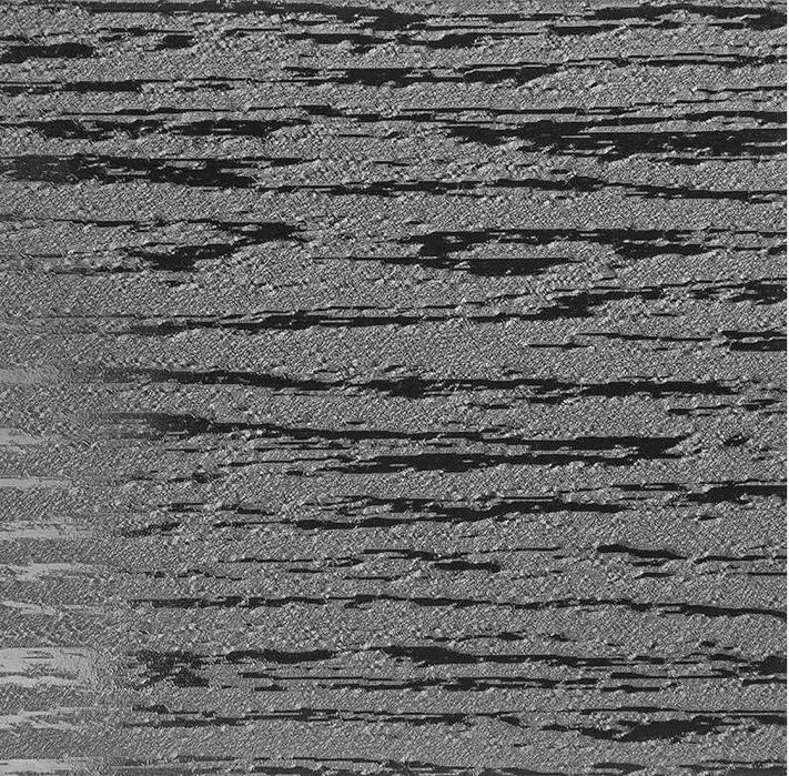 Blacha, gont blaszany JANOSIK od Blachotrapez  RAL 9005